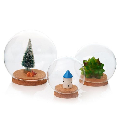 Verre globe cloche pot - globe,
